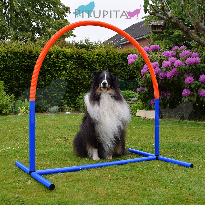 Hoopers Agility Bogen orange weiss