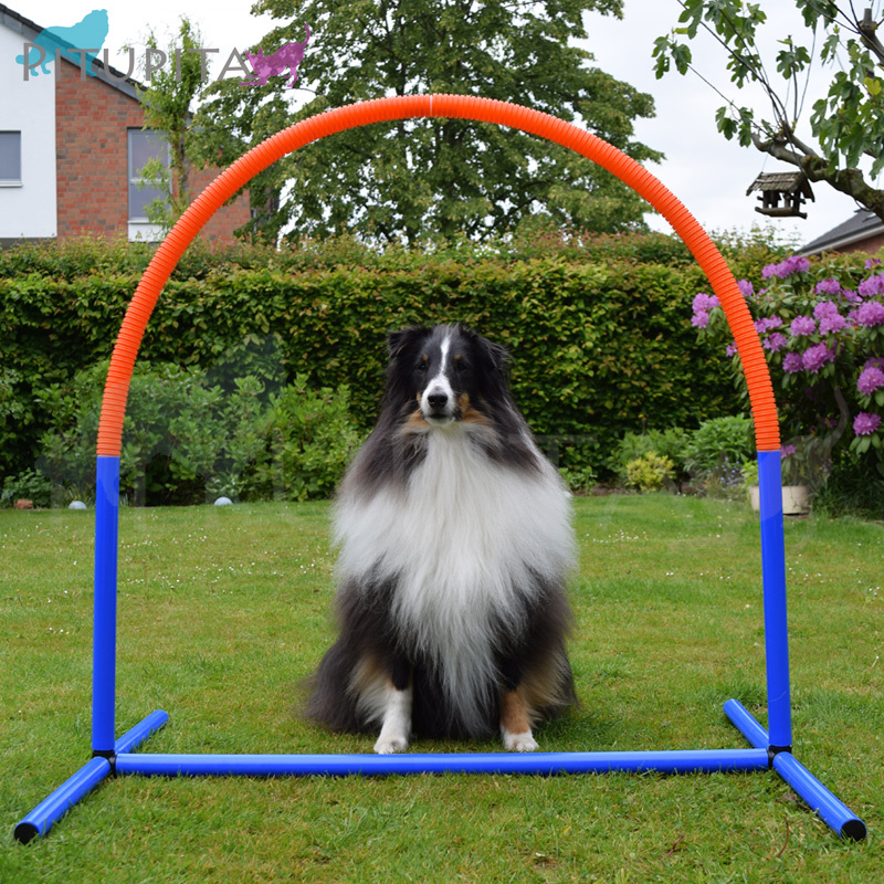 Hoopers Agility Bogen orange weiss