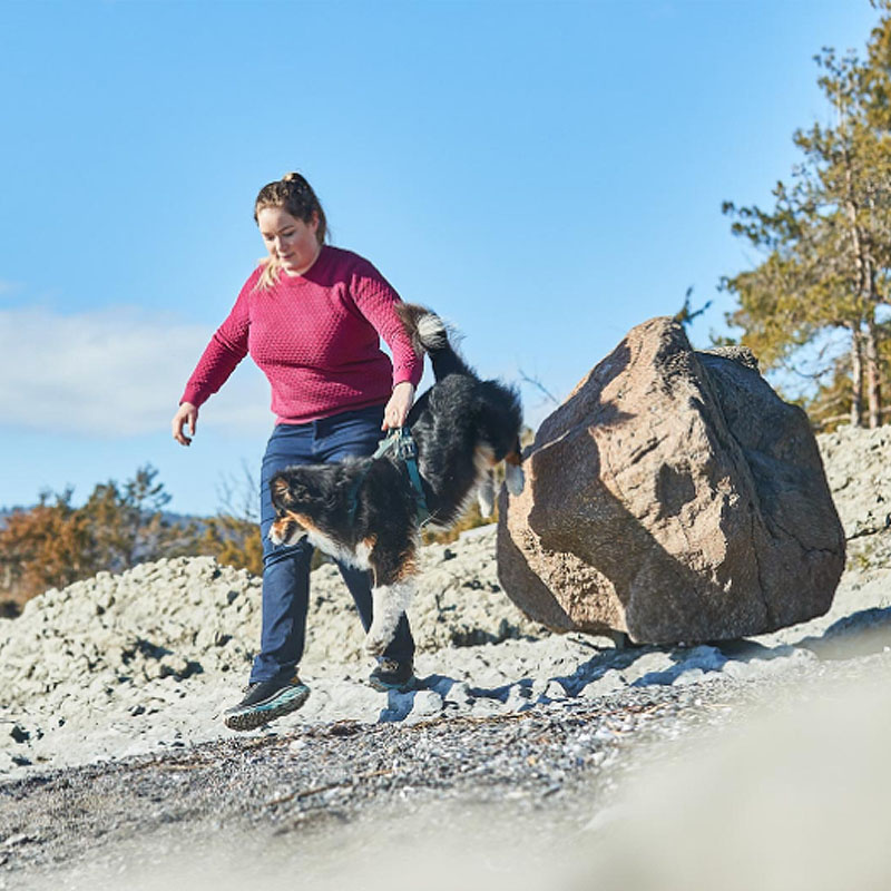 Non-stop dogwear Ramble Brustgeschirr Hundegeschirr in orange schwarz M