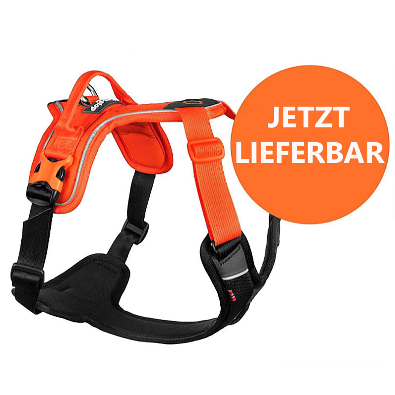 Non-stop dogwear Ramble Brustgeschirr Hundegeschirr in orange schwarz XL