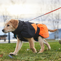 Non-stop Dogwear Wintermantel Glacier Jacket 2.0 in orange schwarz Größe 30