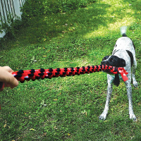 KONG Signature Rope langes Seil mit Knoten in zwei...