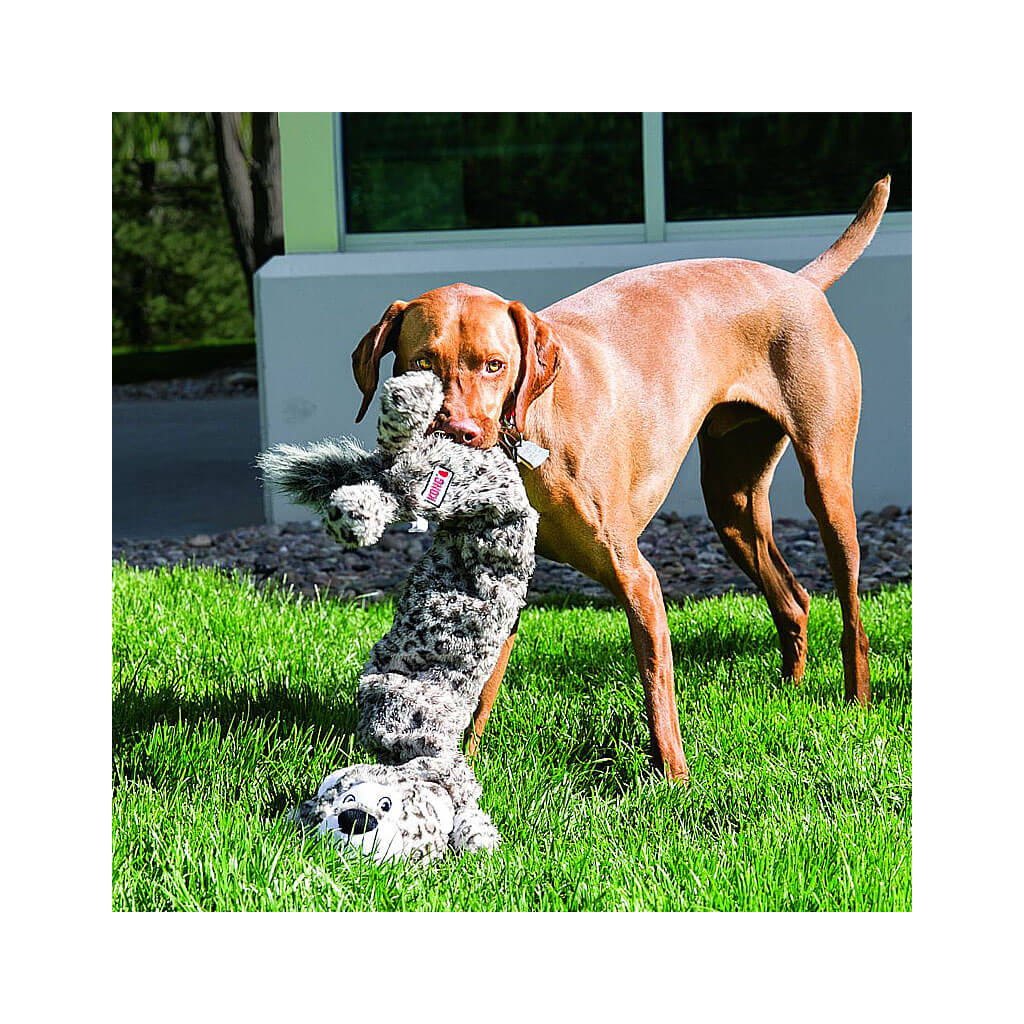kong tiger dog toy