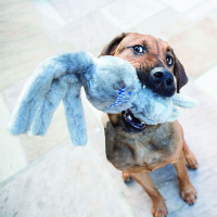 KONG Wubba FRIENDS S Fuchs