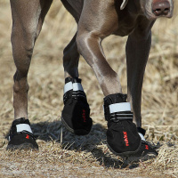 RUKKA Pets Schuhe halbhoch Proff Pfotenschutz  in schwarz 2-er Pack 3 | 48 mm