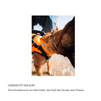 Non-stop dogwear Hundeschwimmweste 2.0 schwarz orange Gr. 2