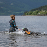 Non-stop dogwear Hundeschwimmweste 2.0 schwarz orange Gr. 2