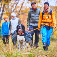 Non-stop dogwear Amundsen Pak Hunderucksack in grau schwarz M