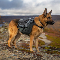 Non-stop dogwear Amundsen Pak Hunderucksack in grau schwarz L