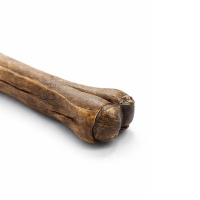 Hirschhaut Kauknochen für sensible Hunde Allergiker 100% Hirsch M  12cm