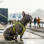 DOG Copenhagen Comfort Walk Go Geschirr in braun Mocca