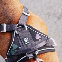 Hurtta Weekend Warrior Geschirr in desert braun 100-120