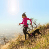 KURGO Springback Laufleine BungeeLeine | schwarz 122 cm