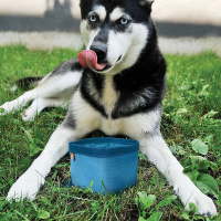 KURGO Zippy Bowl faltbarer Trinknapf Farbe BLAU