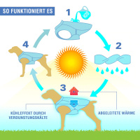 KURGO Core Kühlweste in grau XL