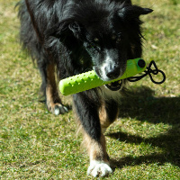 Procyon Treat Futterdummy zum aufschrauben