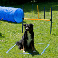 Agility Hundetraining Set mit Tunnel Springh&uuml;rde...