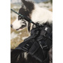 Hurtta Trail Hunderucksack und Geschirr 2 in 1 in schwarz