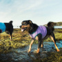 Hurtta Kühlweste für Hunde in blau