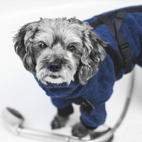 DryUp Body ZIP.FIT Hundebademantel mit Beinen für kleine Hunde in marine blau 30cm