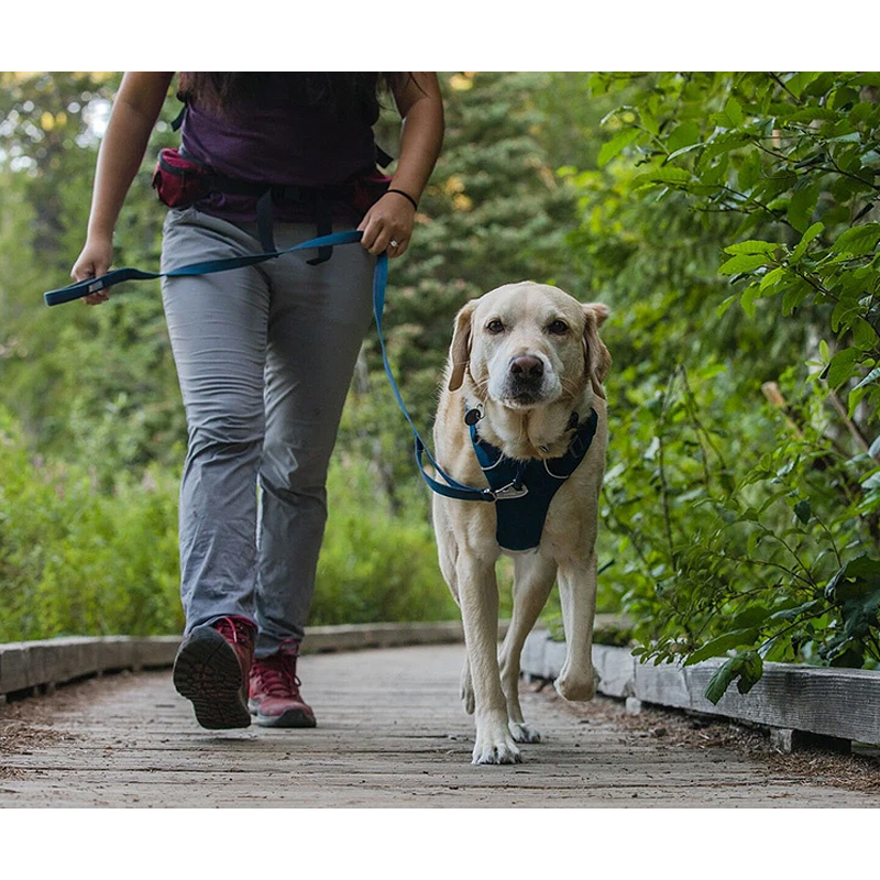 Ruffwear Brustgeschirr Front Range Red Clay rot