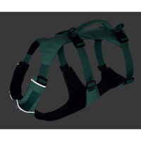 Ruffwear Sicherheitsgeschirr Flagline Sage Green grün XXS