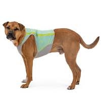 Ruffwear Kühlweste Swamp Cooler Zip Vest Blue Mist blau XXS