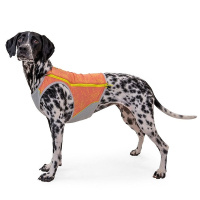 Ruffwear Kühlweste Swamp Cooler ZIP Vest Salmon Lachs Pink XS