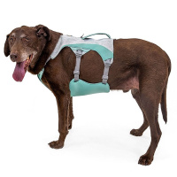 Ruffwear Hundegeschirr Swamp Cooler zum kühlen Sage Green grün XXS