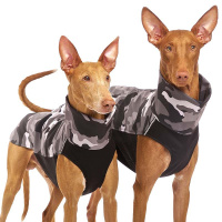 Sofadogwear Hachico ARMY Softshell Pullover in Grau...