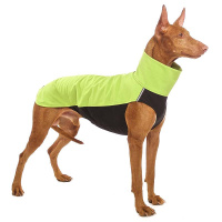 Sofadogwear Hachico V2 sportlicher Softshell Pullover in Hellgrün XS1/XS2