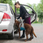 Kurgo Up & About Dog Lifter Gehhilfe Tragehilfe