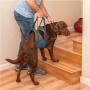 Kurgo Up & About Dog Lifter Gehhilfe Tragehilfe