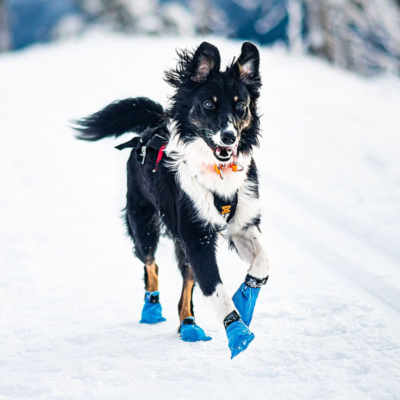 Non-stop dogwear Long Distance Booties Schuhe Pfotensocken 4-er Pack XXXS