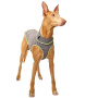 Sofadogwear Quinto Forte Body Thermo Unterhemd für Hunde