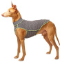 Sofadogwear Quinto Forte Body Thermo Unterhemd für Hunde
