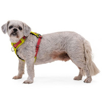 Ruffwear Hundegeschirr Hi & Light Lichen Green gelb L/XL