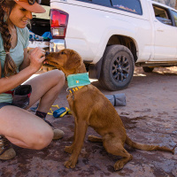 RUFFWEAR Kühlhalstuch Swamp Cooler in zwei Farben Aurora Teal - Heliotrope Purple L | Hals 51-61cm