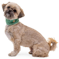 RUFFWEAR Kühlhalstuch Swamp Cooler in zwei Farben Aurora Teal - Heliotrope Purple L | Hals 51-61cm