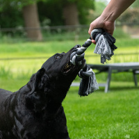 Floss Dental Baumwollseil mit 5 Knoten Cotton Rope 185 cm