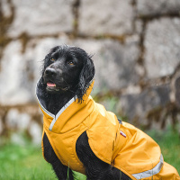 Pomppa Sade Regenmantel SadePomppa in Curry 25