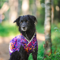 Pomppa Sade Regenmantel SadePomppa in Curry 25