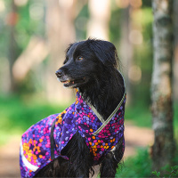 Pomppa Sade Regenmantel SadePomppa Muster Cosmos 31