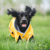 Pomppa Kevyt gefütterter Regenmantel KevytPomppa in curry 25