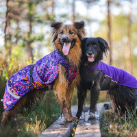 Pomppa Kevyt gefütterter Regenmantel KevytPomppa Muster cosmos