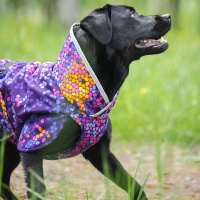 Pomppa Kevyt gefütterter Regenmantel KevytPomppa Muster cosmos 70