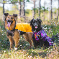 Pomppa Kevyt gefütterter Regenmantel KevytPomppa Muster cosmos 70