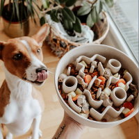 District 70 BAMBOO Dog Slow Feeder Anti Schling Napf  S merengue