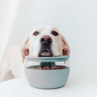 District 70 BambooTreat Jar Vorratsbehälter in...