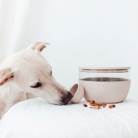 District 70 BambooTreat Jar Vorratsbehälter in...